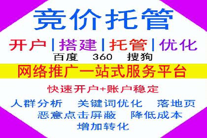 某电商企业如何通过百度竞价广告提升销售额